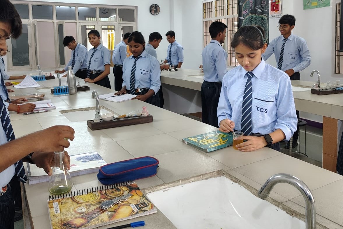 The City School Laboratories